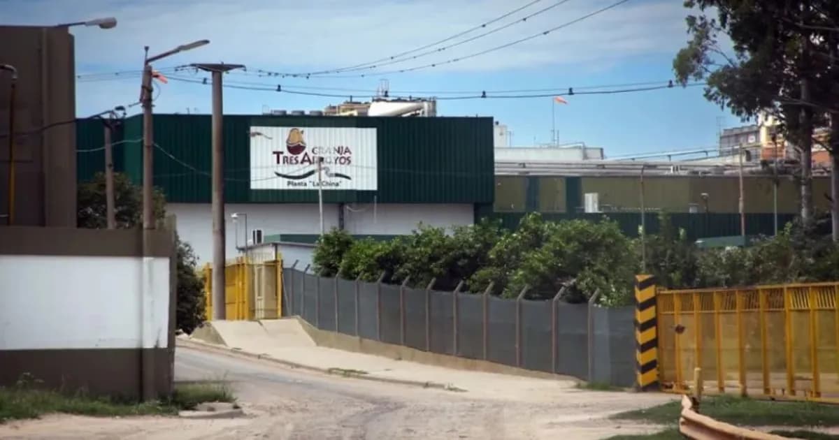 Entre Ríos: a un mes del cierre de Granja Tres Arroyos, los De Grazia no pagan y hay 900 familias en la calle - imagen de origen