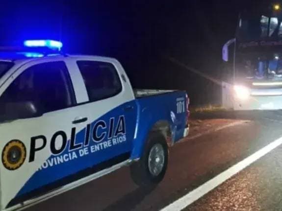 Un micro chocó contra un animal suelto en la Autovía 14 y el chofer tuvo que ser hospitalizado - imagen de origen