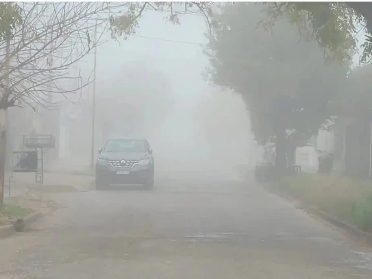 Frío extremo, neblina y heladas: así estará el tiempo en Concepción del Uruguay durante la semana - imagen de origen