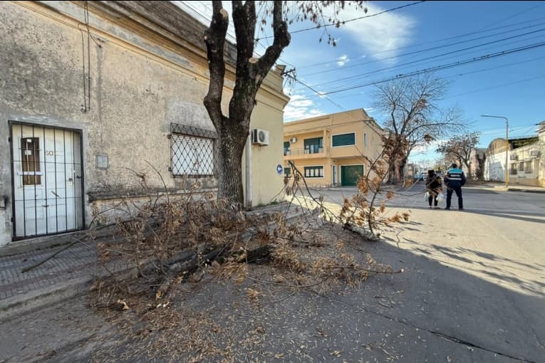 Comenzó la poda invernal en 3 de Caballería y continuará en las calles paralelas - imagen de origen