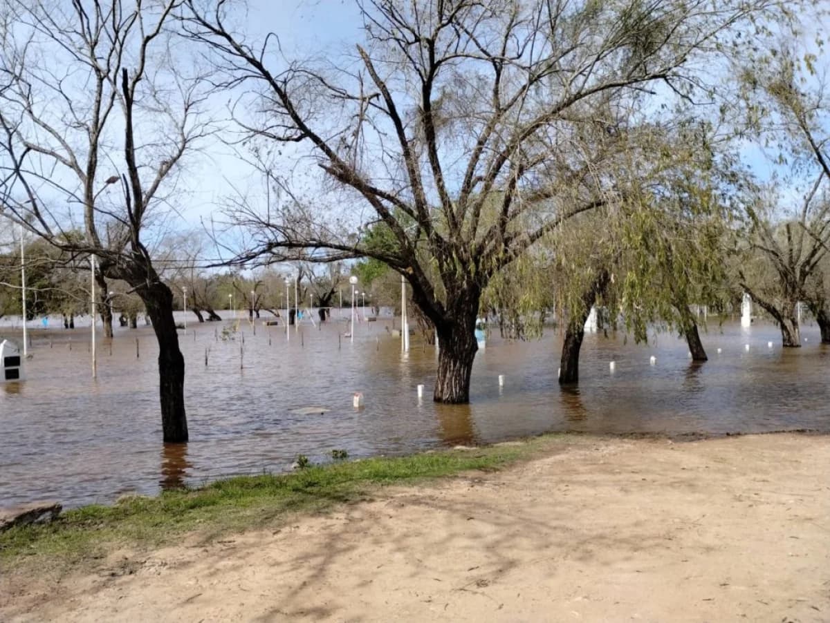 El río Uruguay comenzó a descender en Concepción del Uruguay, pero se espera un nuevo repunte - imagen de origen