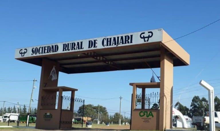 Charlas técnicas se desarrollarán este jueves en la Expo Rural 2026 - imagen de origen