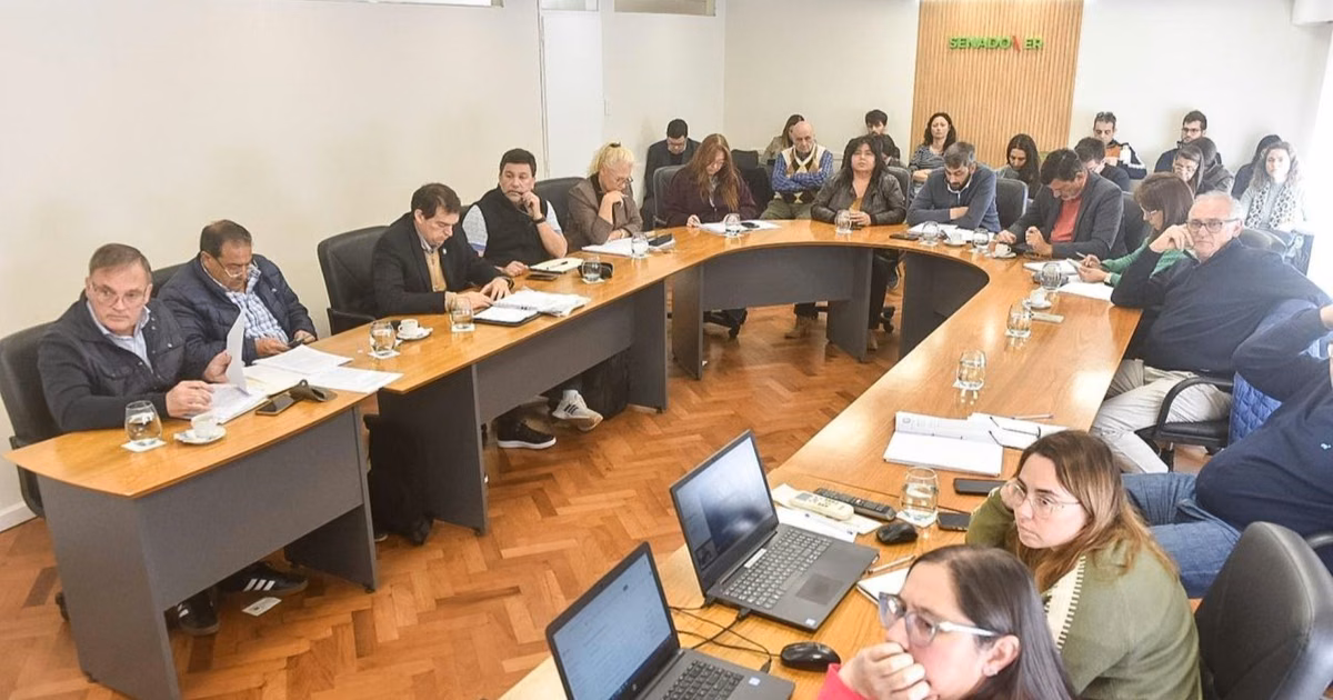 Entre Ríos: Adorni y el caso $Libra dilatan la aprobación de la ley de Ficha Limpia - imagen de origen
