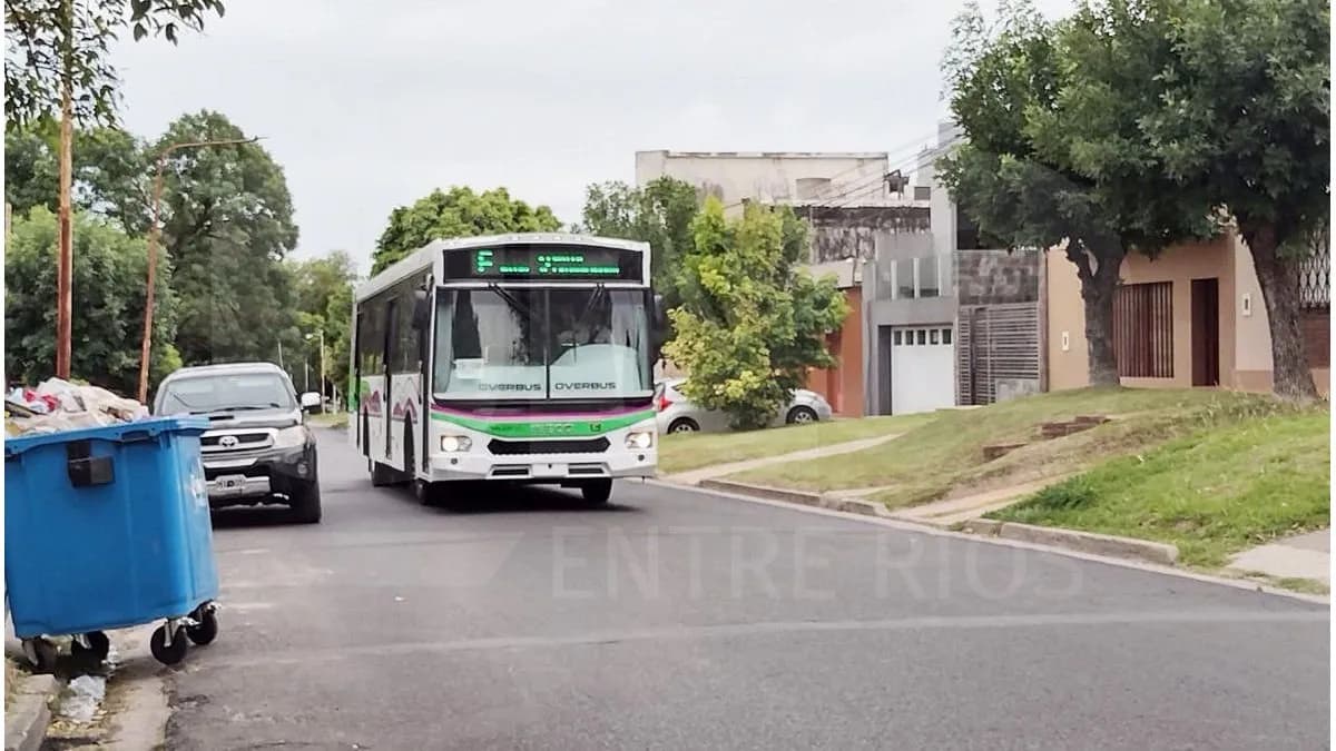 Paraná: usuarios de colectivos piden cartelería, precisión horaria y mejor trato de los choferes - imagen de origen