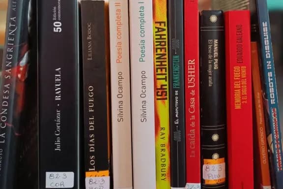 La Biblioteca Provincial convoca a la donación de libros para fortalecer su Fondo General - imagen de origen