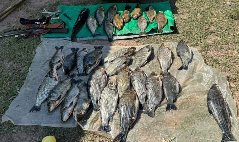 La Policía Rural correntina y otras fuerzas trabajan para proteger la fauna ictícola - imagen de origen