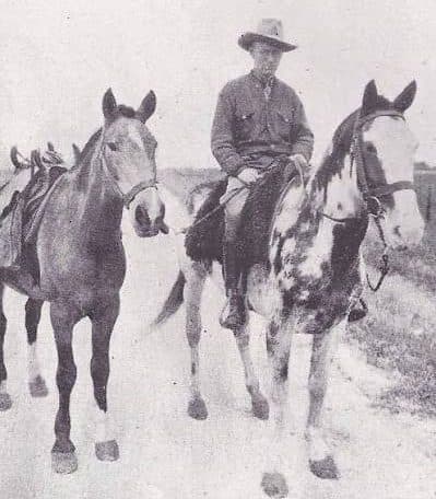 “Gato” y “Mancha”, los caballos criollos que pasearon su estampa por calles de Nueva York - imagen de origen