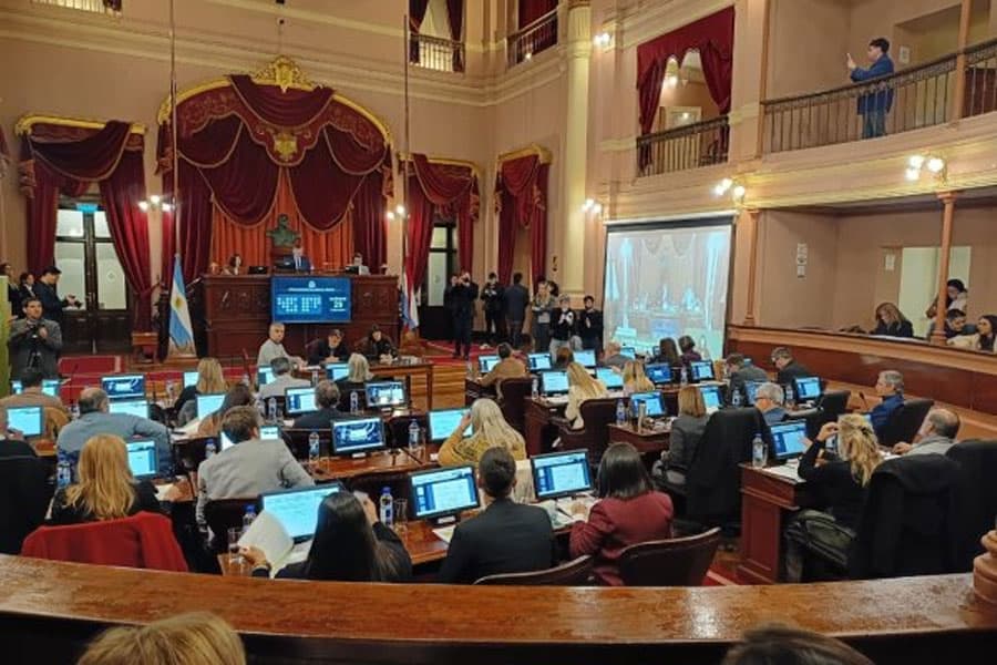 El oficialismo dio media sanción a la Ley de Compre Local con fuertes críticas de la oposición - imagen de origen