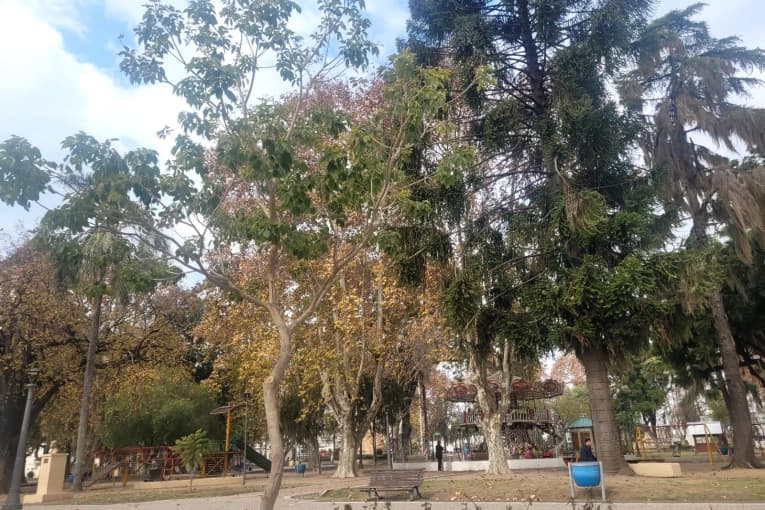 Seguirán las bajas temperaturas, con mañanas muy frías - imagen de origen