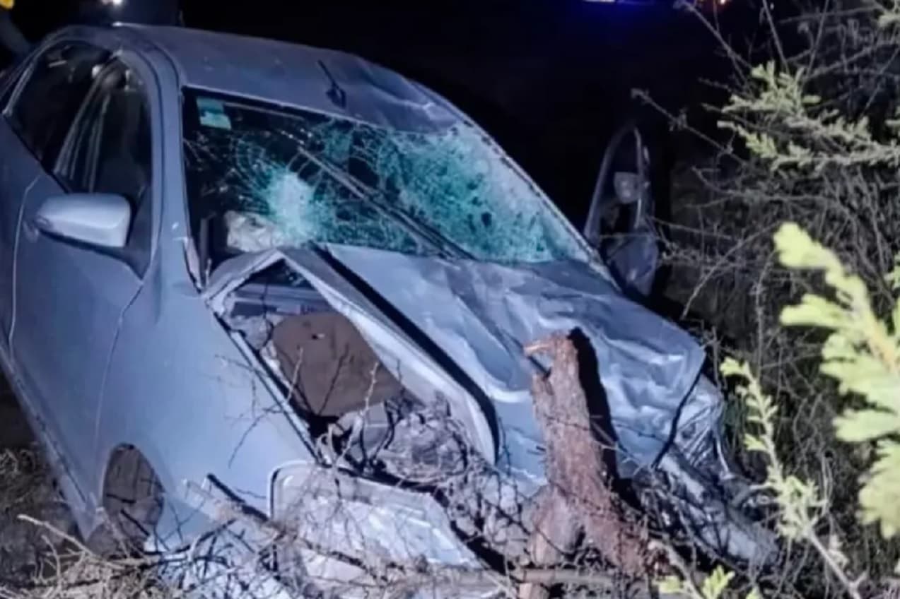 Ruta 2: Chocó contra un vacuno, perdió el control del auto y fue hospitalizado - imagen de origen