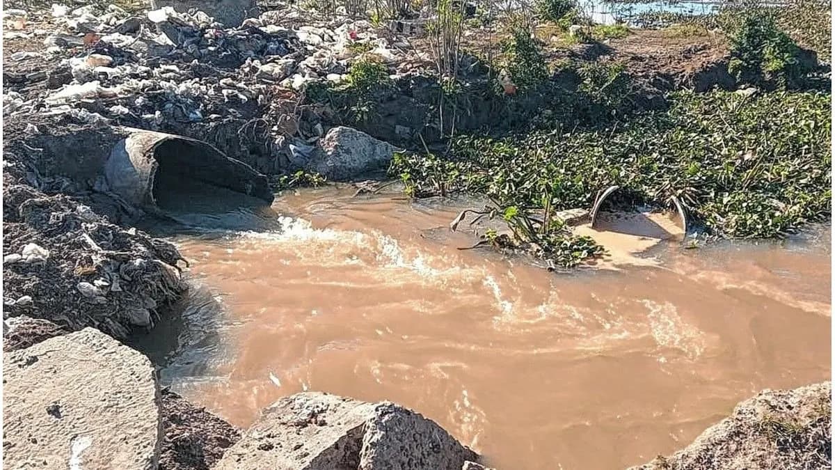 Victoria: denuncian la rotura en el desagüe cloacal que va a un riacho - imagen de origen