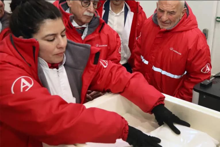 La red logística nacional abastece a más de 5.000 puntos de entrega