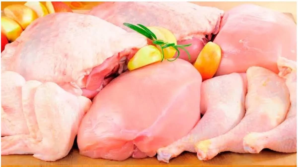 La carne de pollo alcanza un consumo récord en Argentina - imagen de origen