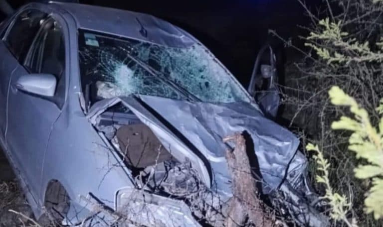 En Feliciano, un automóvil colisionó con un bovino en la ruta provincial N ° 2 - imagen de origen
