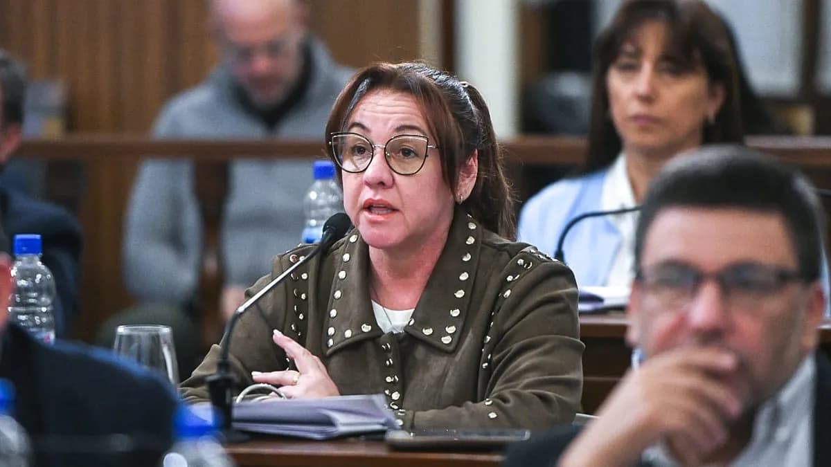 Patricia Díaz dejó el bloque Más para Entre Ríos y creó Hacer Futuro en el Senado provincial - imagen de origen