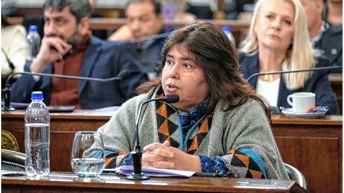 La senadora Nancy Miranda dejó el bloque del PJ y conformó el monobloque Frente Cimarrón - imagen de origen