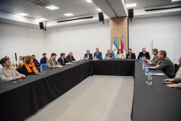 Salud mental y consumo: “Necesitamos una mejor capacidad de respuesta y más redes de contención", expresó Frigerio - imagen de origen