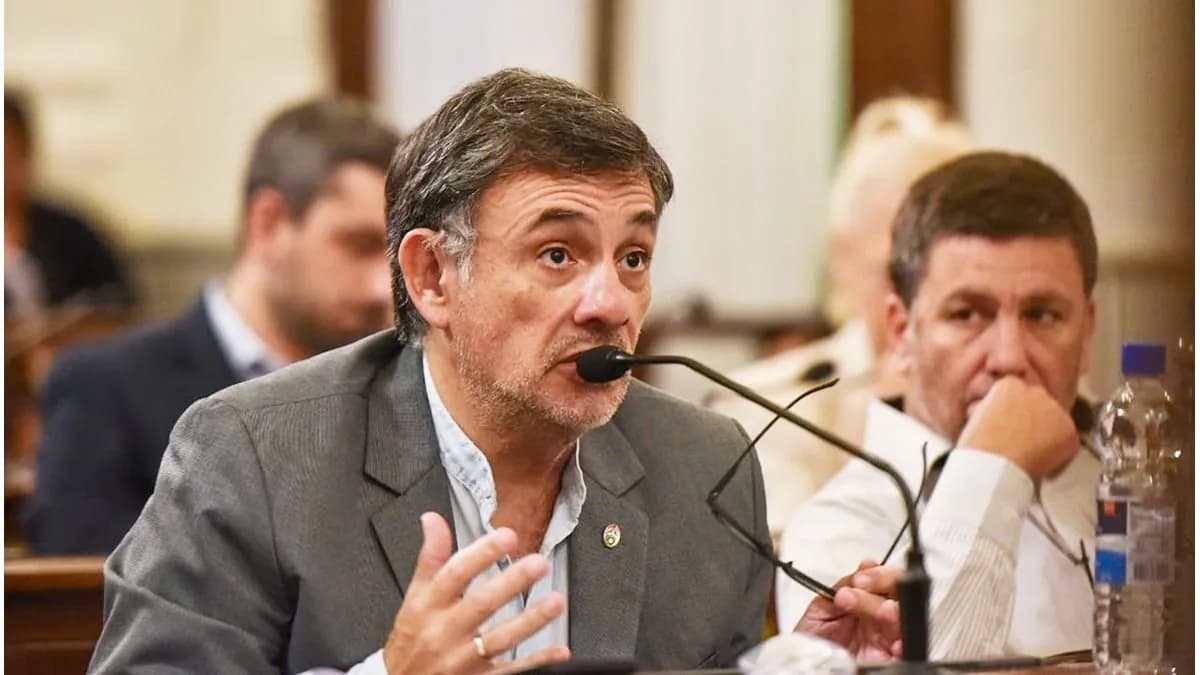 Granja Tres Arroyos: Oliva pidió medidas de asistencia y alivio fiscal para los trabajadores despedidos - imagen de origen