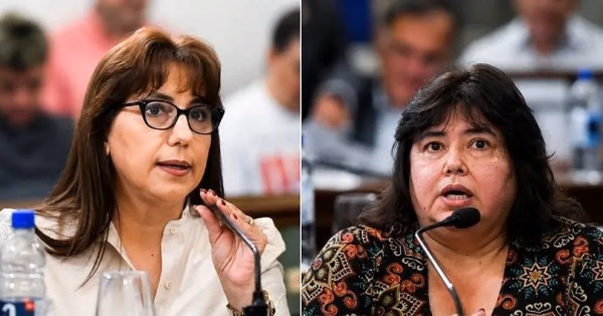 El PJ de Entre Ríos expulsó a las dos senadoras que apoyaron la reforma previsional de Frigerio - imagen de origen