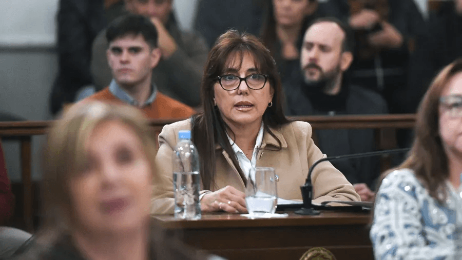 “Me quieren echar por debatir mientras sus intendentes proponen reformas” - imagen de origen