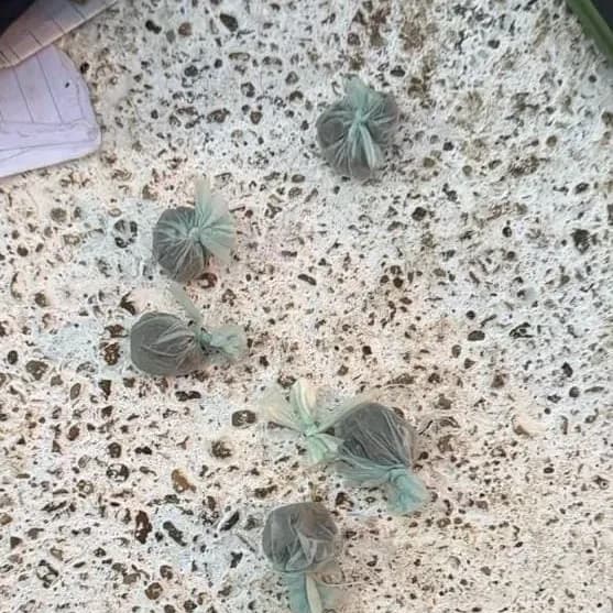 Operativo de saturación: identificaron a 27 personas y secuestraron marihuana y cocaína - imagen de origen