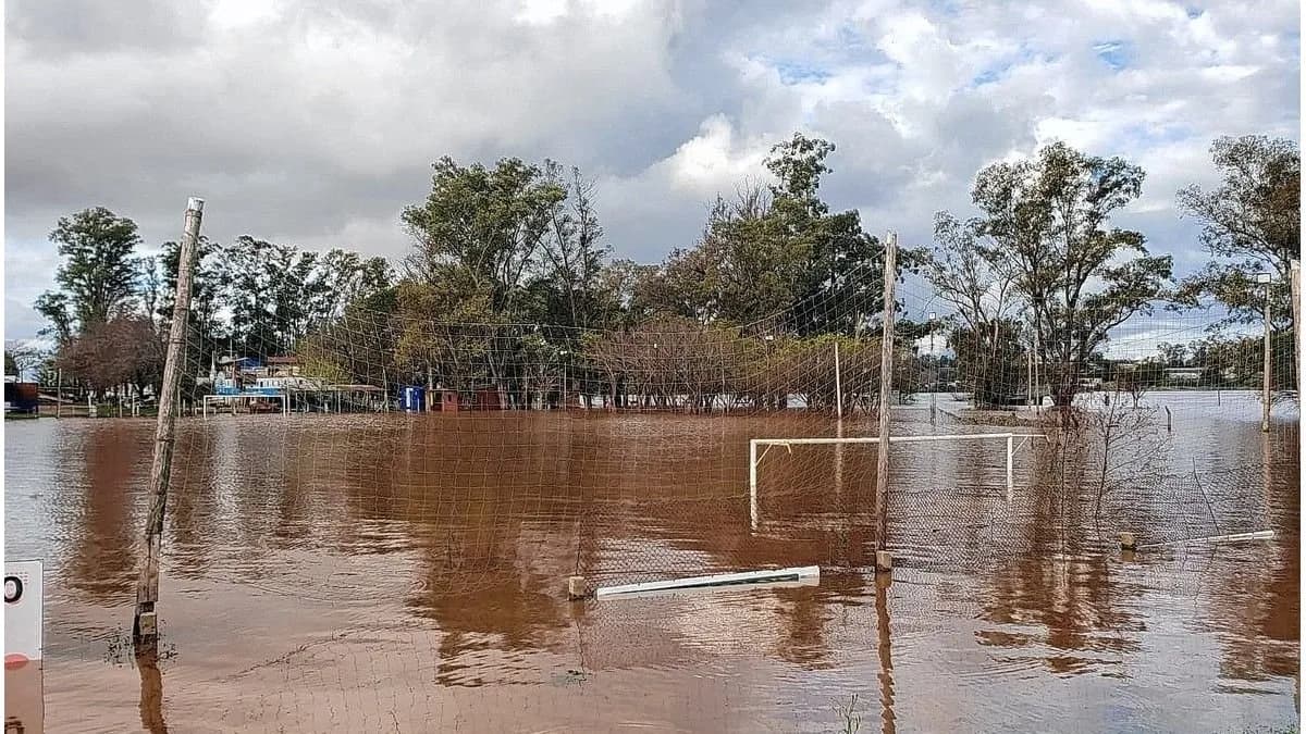 El río Uruguay con su máximo nivel y pronto comenzará el descenso - imagen de origen