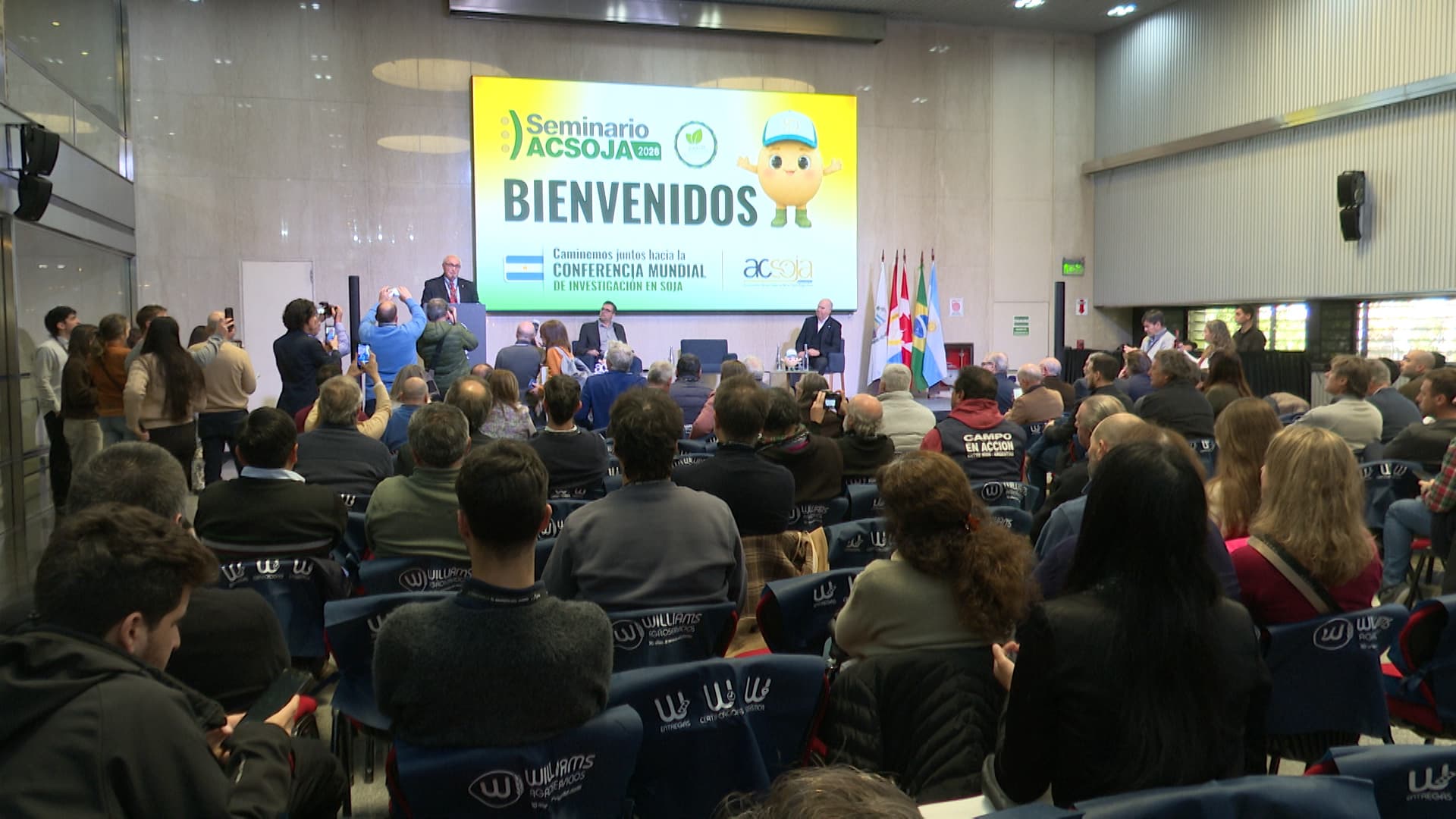 La cadena de la soja consolida su posición de liderazgo en el mercado - imagen de origen