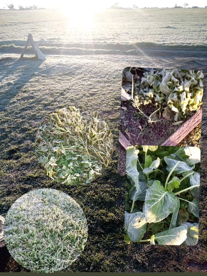 Entre Ríos luce con excesos hídricos en todo el territorio - imagen de origen