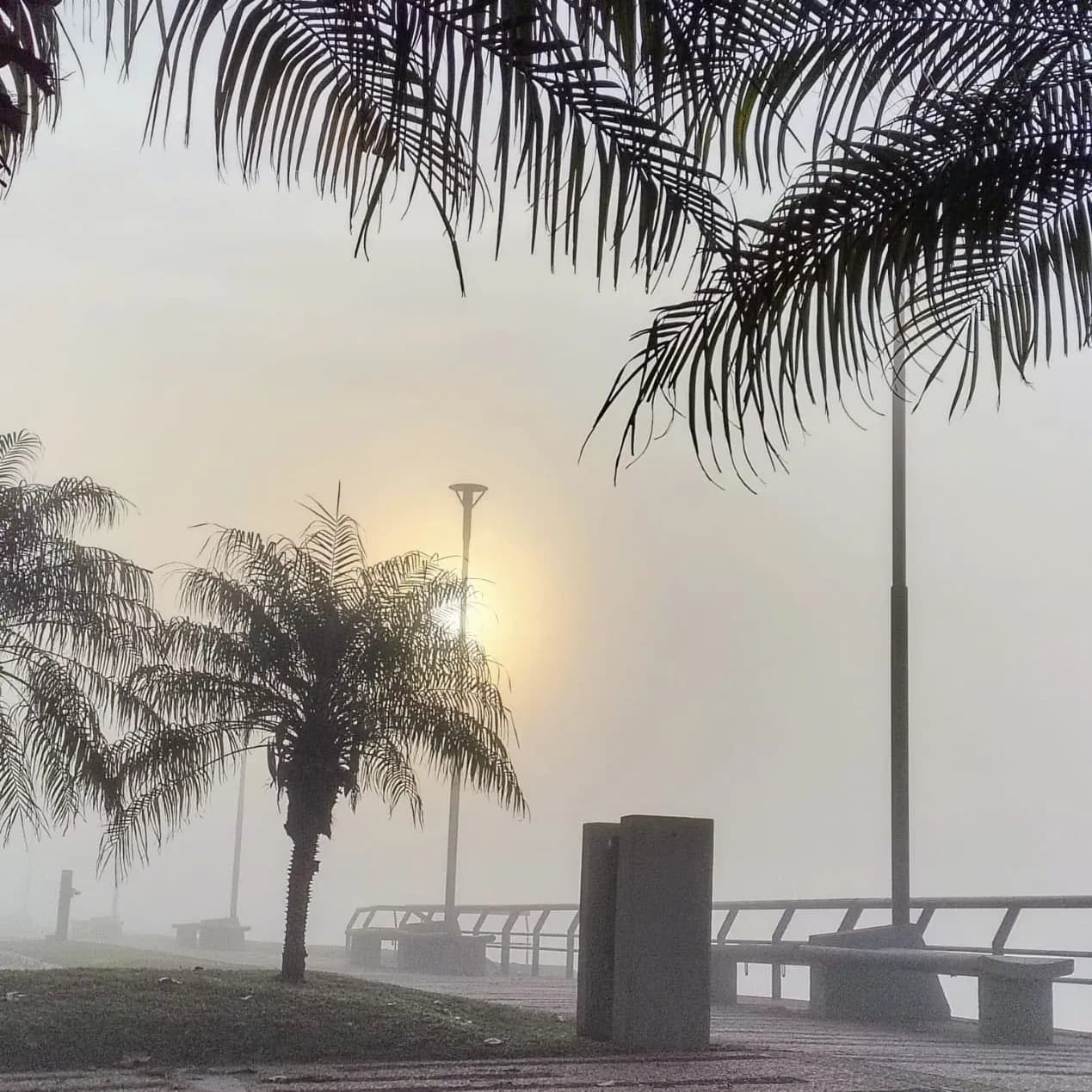 Alerta por frío extremo en el norte entrerriano y bajas temperaturas - imagen de origen