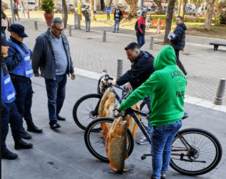 Insólito en Concordia: En plena veda, vendieron dorados gigantes en la Plaza 25 de Mayo y frente a la policía - 7PAGINAS - imagen de origen
