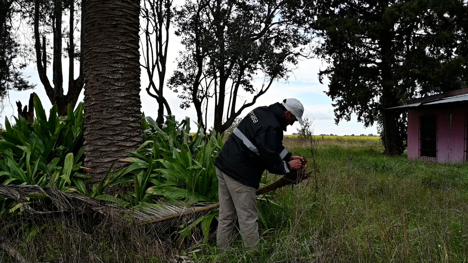 Buscan al Picudo Rojo en Gualeguaychú y Uruguay - imagen de origen