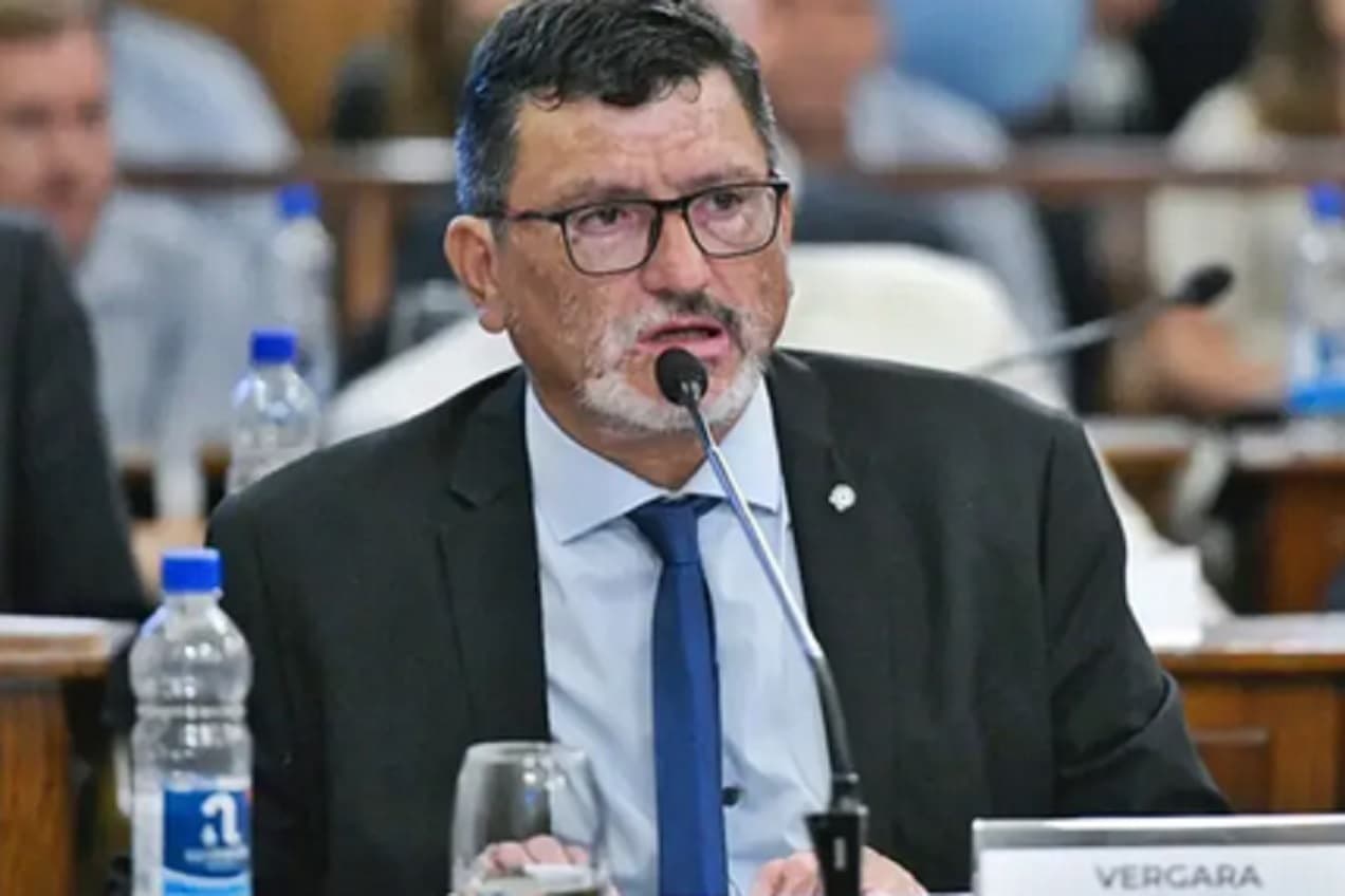 Vergara: “El sistema como está no va a poder seguir financiando ni las actuales jubilaciones” - imagen de origen
