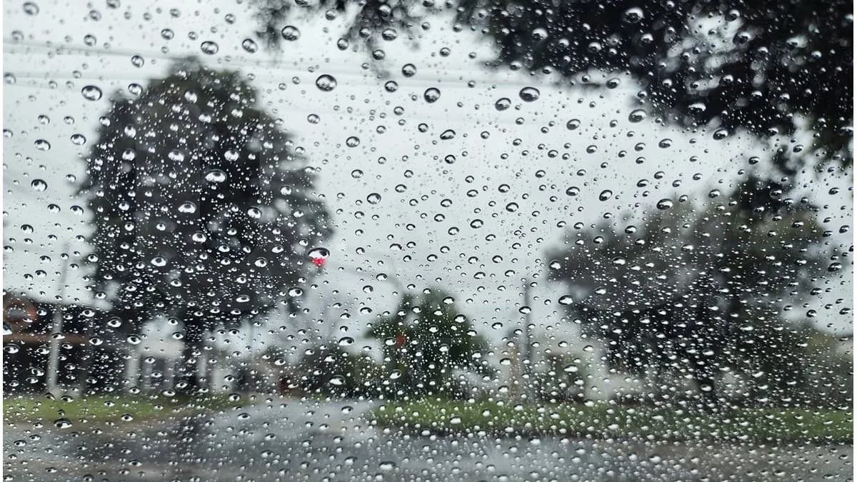 La Municipalidad desplegó un amplio operativo tras la tormenta - imagen de origen