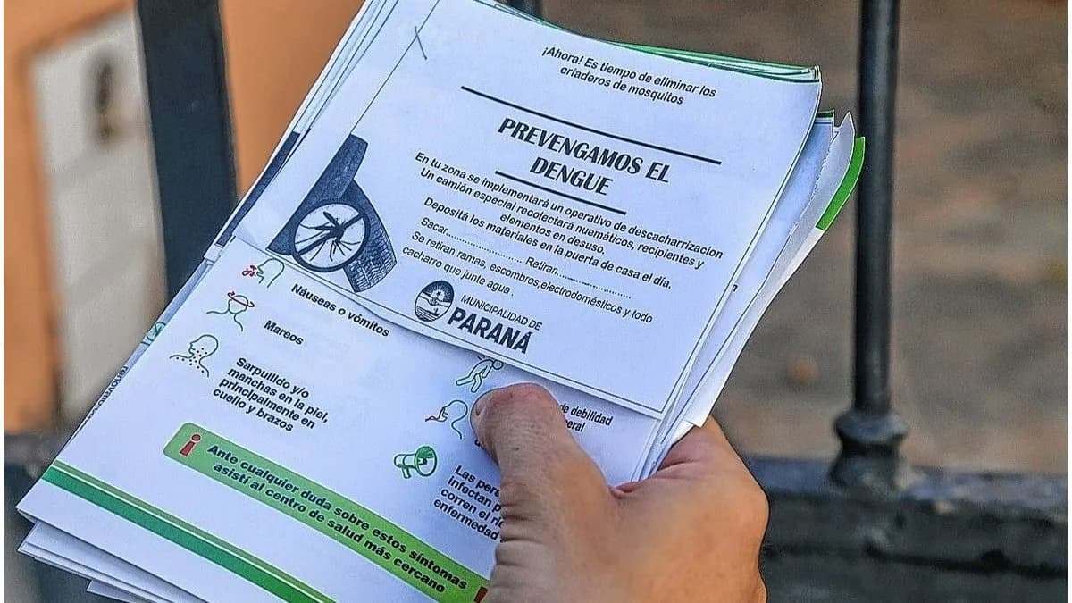 Paraná intensifica la descacharrización para prevenir el dengue y eliminar criaderos de mosquitos - imagen de origen