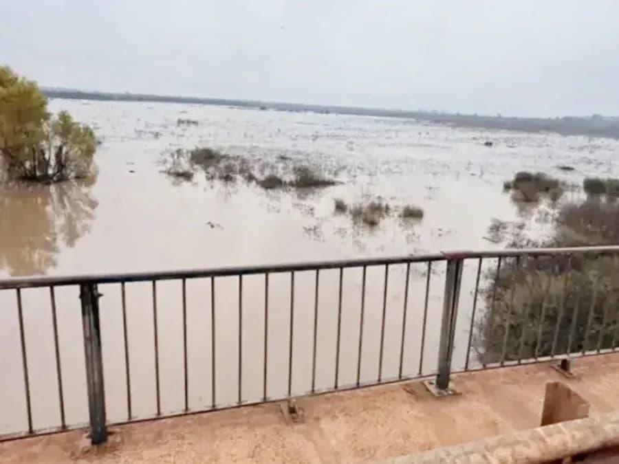 En Corrientes, la altura del río Uruguay crece “cuatro centímetros por hora” - imagen de origen