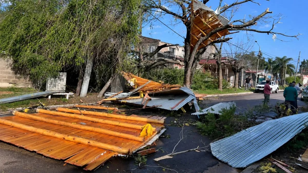 Temporal en Concordia: Enersa restableció gran parte del servicio, pero continúan los trabajos en la zona - imagen de origen