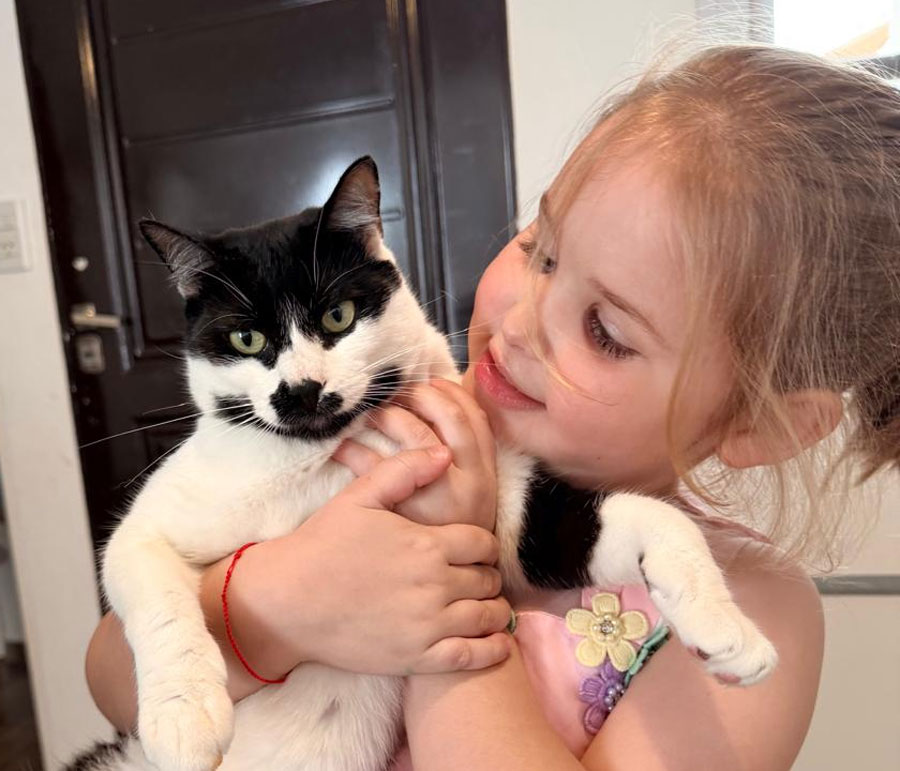 Día Internacional de Abrazar a un Gato: por qué se celebra este 4 de junio y cuáles son los beneficios de su ronroneo - imagen de origen