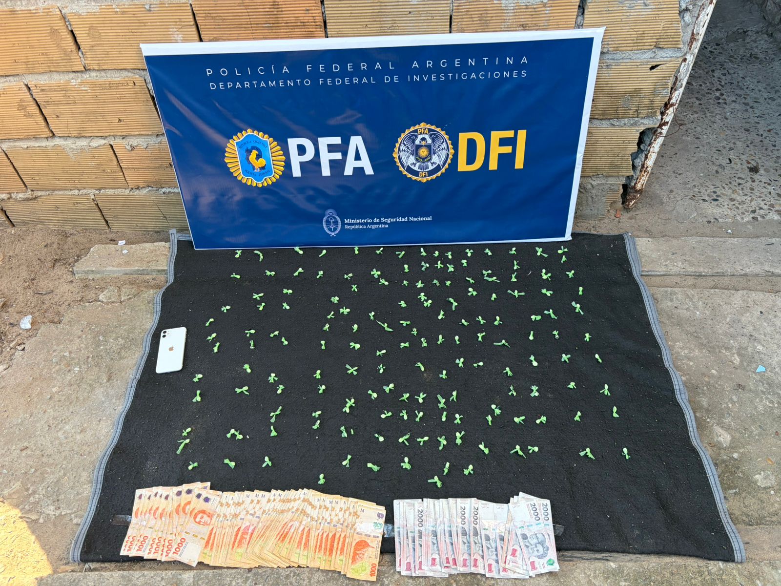 La Policía Federal detuvo a dos sujetos y secuestró una importante cantidad de cocaína en un peligroso barrio de Concordia - 7PAGINAS - imagen de origen