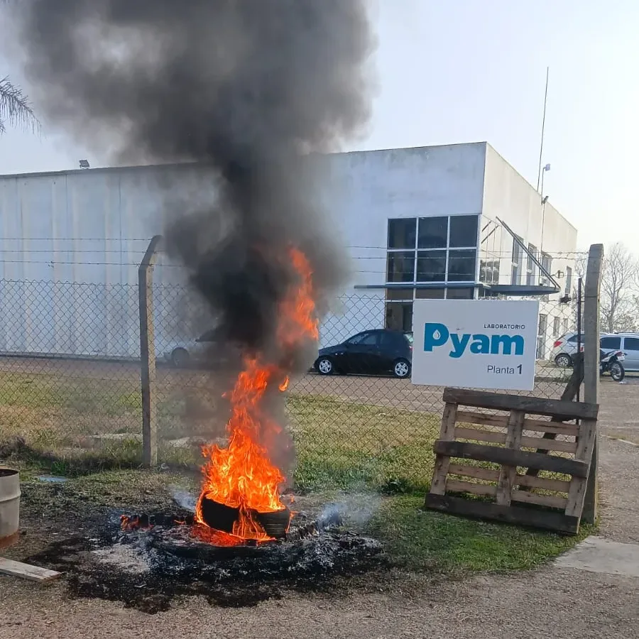 Nuevos despidos en el Parque Industrial: desvincularon a 11 trabajadores de la empresa Pyam - imagen de origen