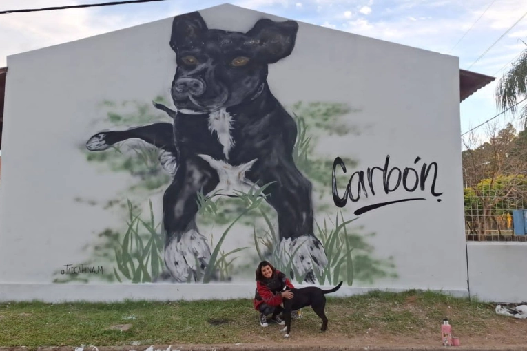 El mural de “Carbón” en una escuela de Villa Adela se viralizó y generó repercusión nacional - imagen de origen