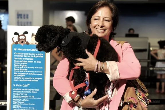 Cuáles serán los cinco puntos de castraciones gratis para mascotas de la semama - imagen de origen