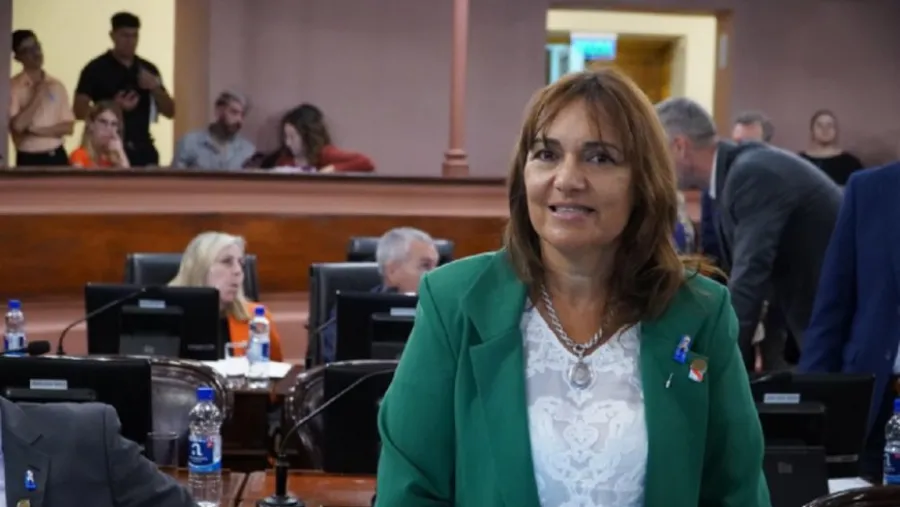 Silvia Moreno: “El Congreso del PJ definirá sobre las sanciones recomendadas por el Tribunal de Disciplina” | Análisis - imagen de origen