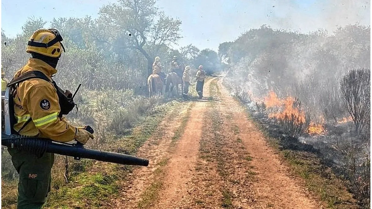 Bomberos Voluntarios celebran hoy su día con vocación y compromiso - imagen de origen