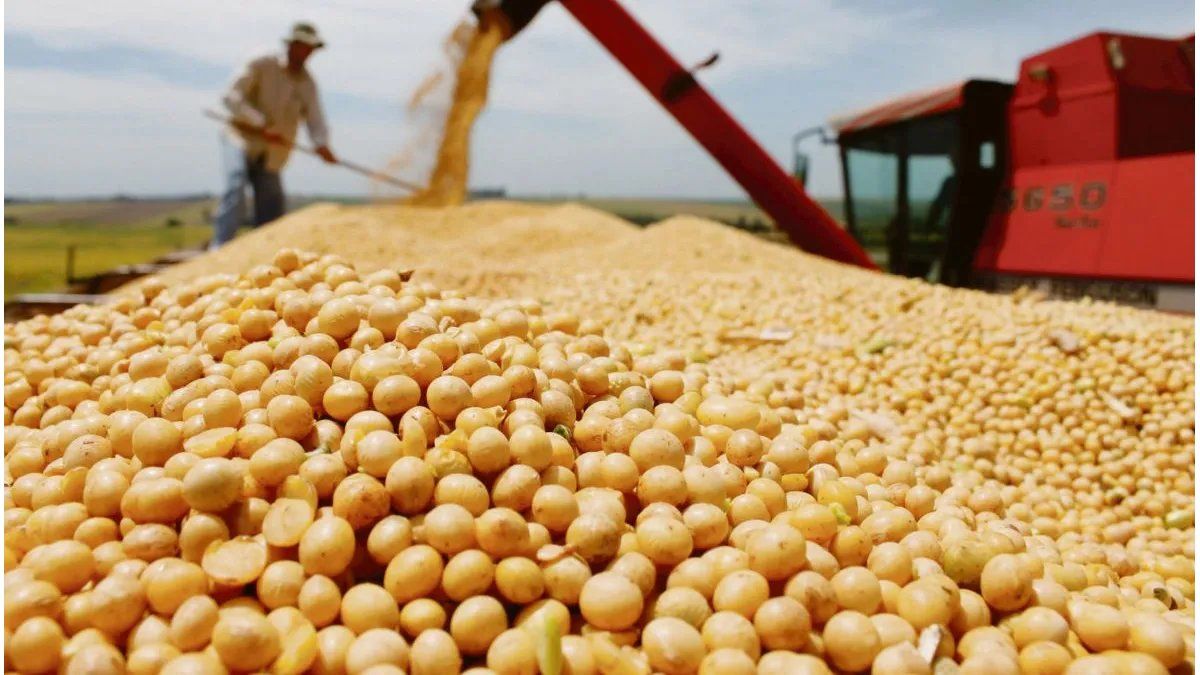 Soja: la cosecha alcanza el 15% en primera y 4% en segunda en Entre Ríos - imagen de origen