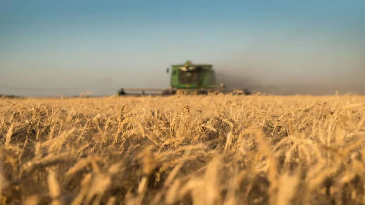 El campo en la balanza: retenciones, soja y el futuro que se siembra hoy - imagen de origen