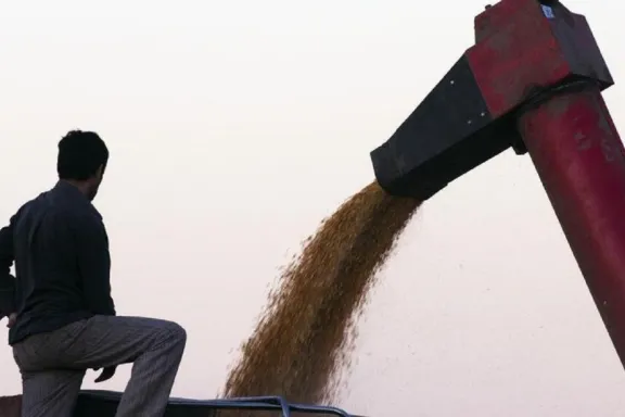 Un informe de la Bolsa de Cereales asegura que cae la producción de soja entrerriana - imagen de origen