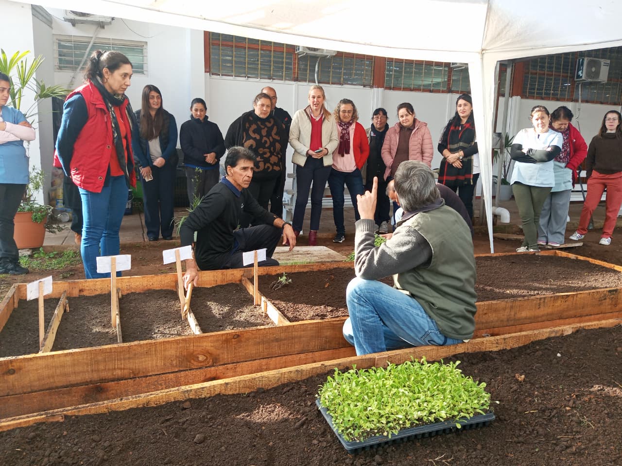 Más familias de Concordia acceden al programa de huertas agroecológicas integradas - 7PAGINAS - imagen de origen