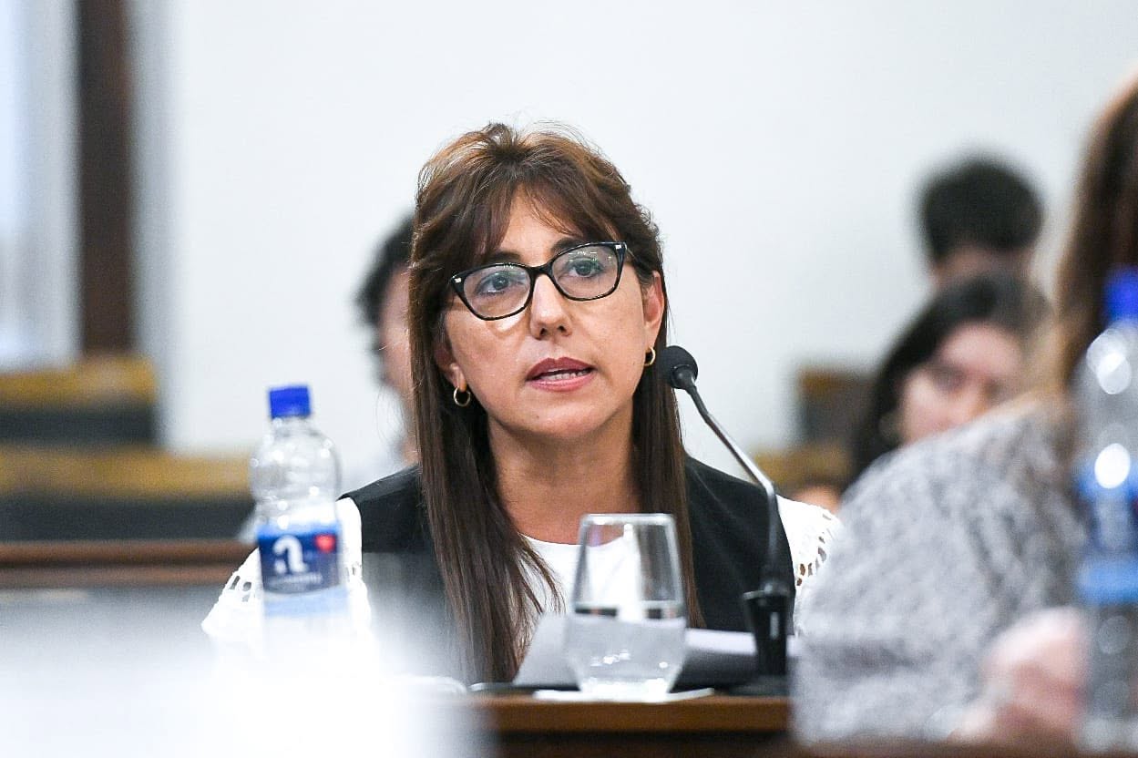 Domínguez: «Me acusan por un voto que todavía no emití» - imagen de origen