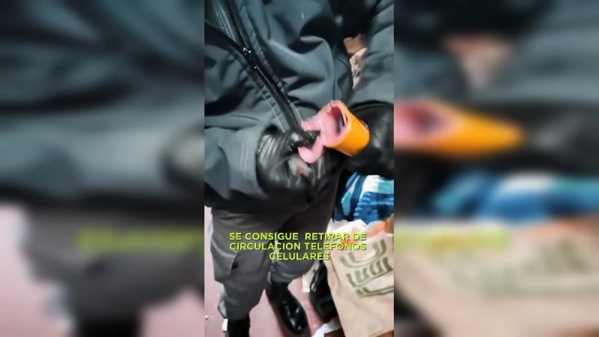 Secuestran teléfonos celulares durante una requisa en la Unidad Penal Nº 4 - imagen de origen