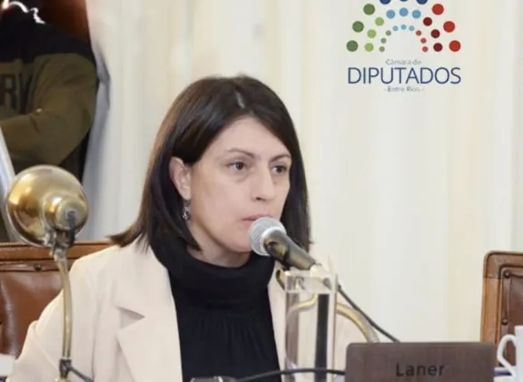 “La reforma previsional garantiza el 82% móvil y busca ordenar el sistema para sostenerlo en el tiempo”, expresó Laner - imagen de origen